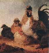 CUYP, Aelbert, Rooster and Hens dfg